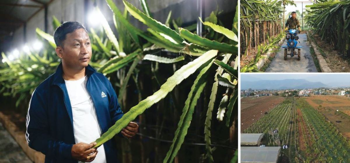 कक्षाकोठाबाट खेतसम्मको यात्रा