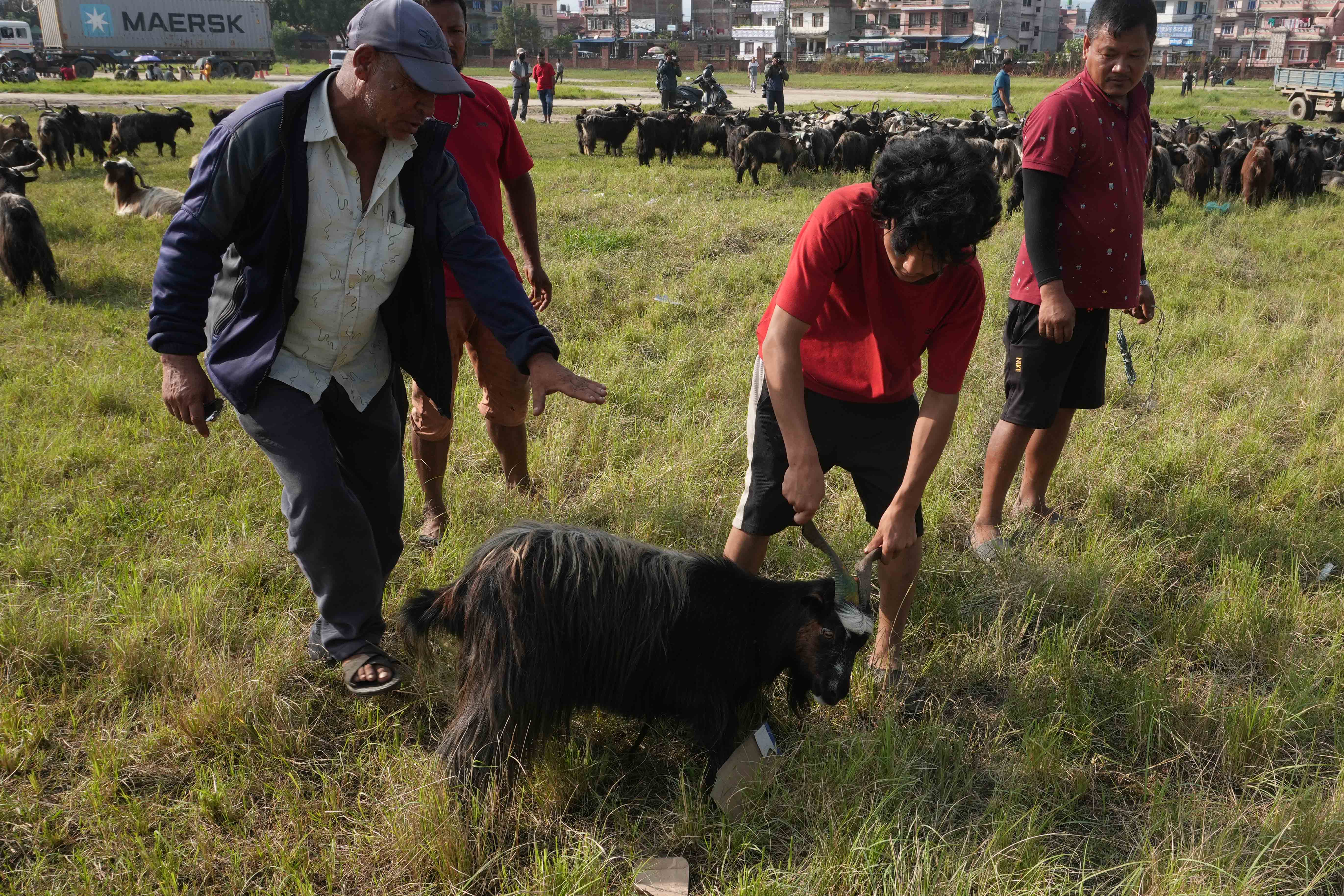 Chyangra_DSC02348-1758630012.jpg