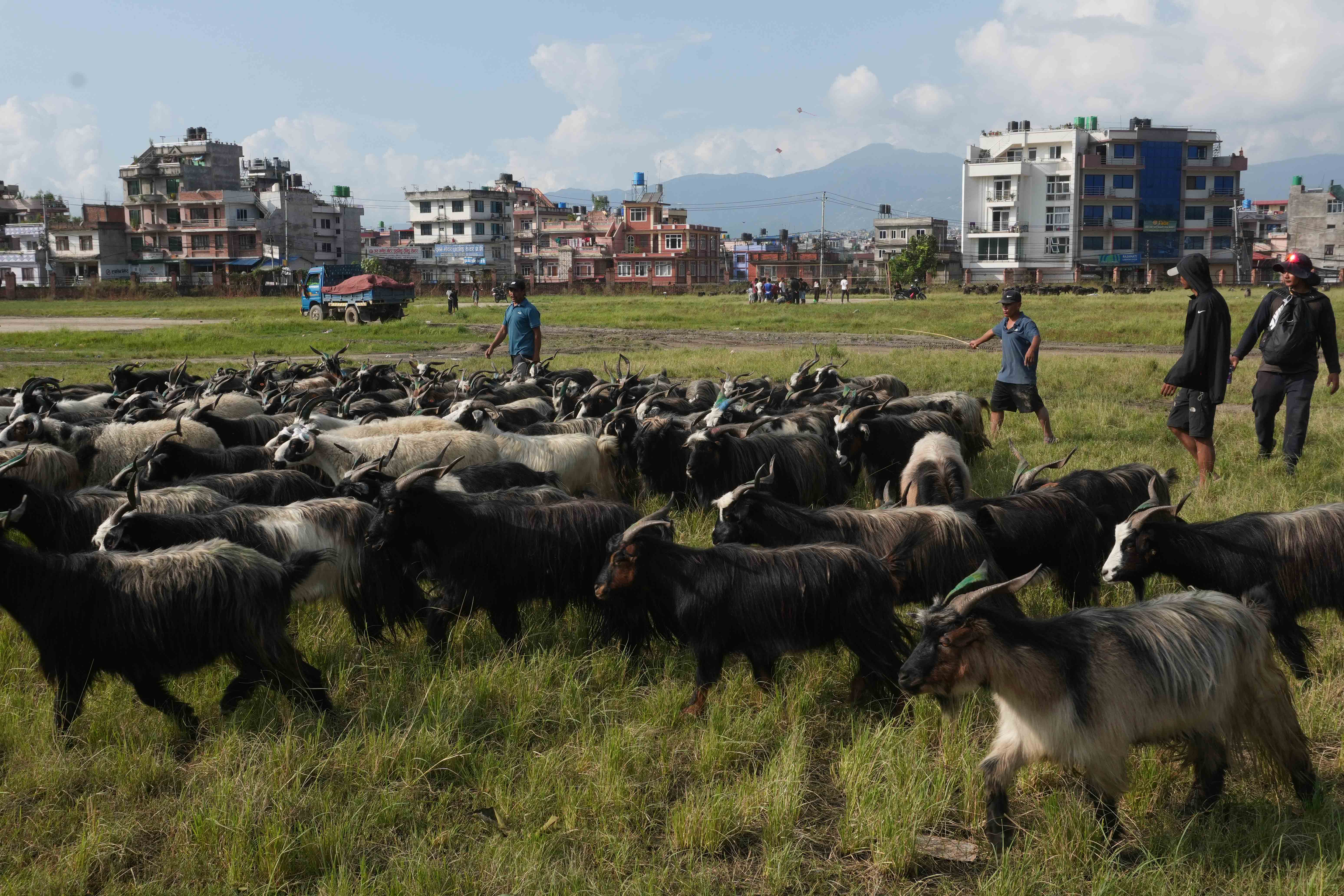 Chyangra_DSC02349-1758630012.jpg