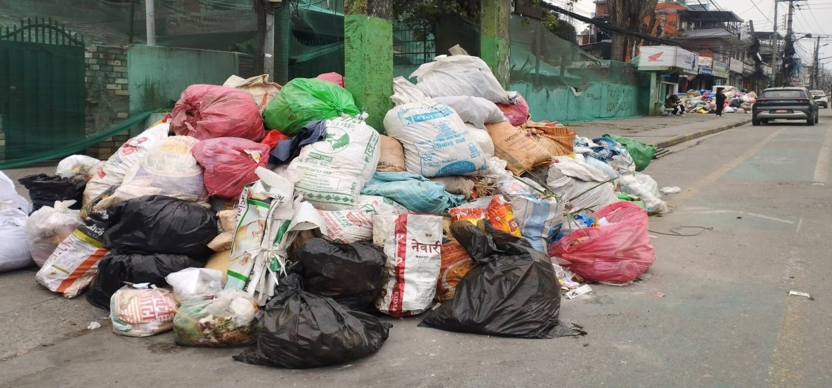 पर्यटकीय शहरमा फोहोरको पिरलो