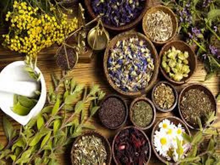 जडिबुटीको निकासी बढे पनि किसानको आम्दानी बढेन