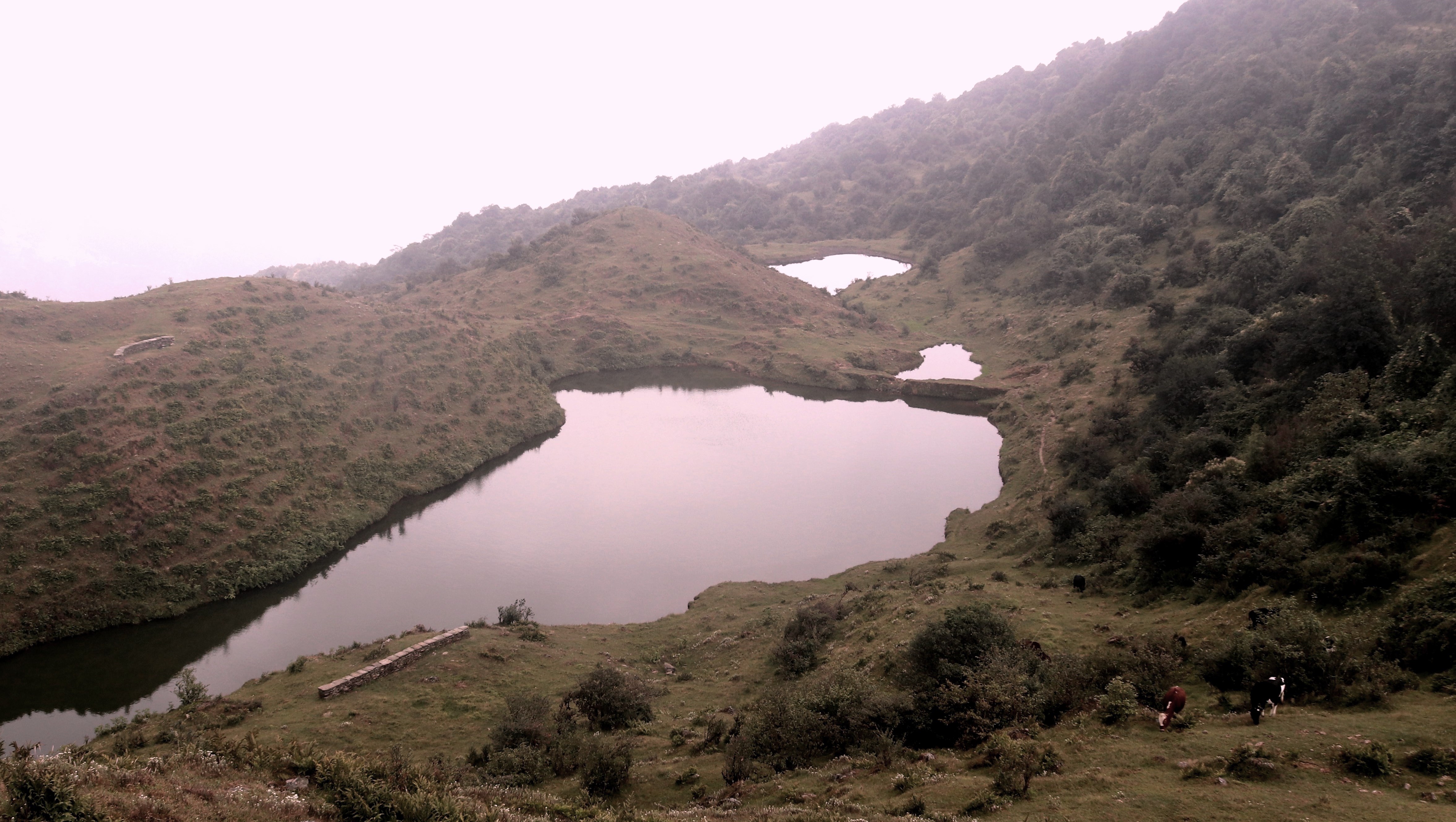 आकर्षक पर्यटकीय गन्तव्य बन्दै ‘मलुवा पोखरी’