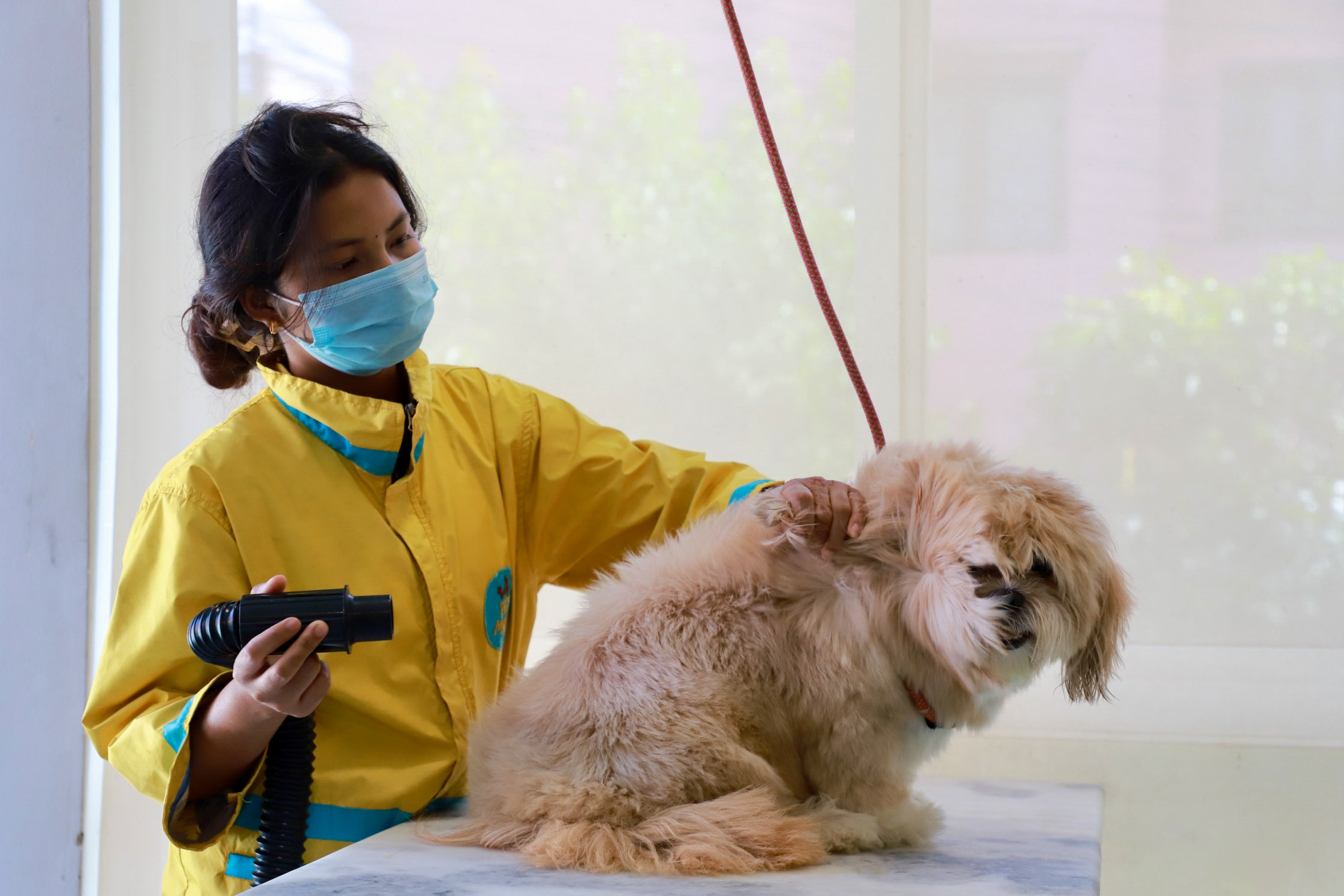 Pet-MAMA_Nepal-photo-library10-1755083916.jpg