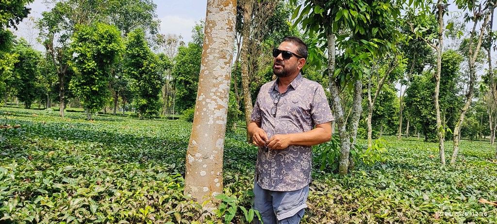 रविको ‘मिश्रित खेती’मा २७ प्रजातिका नगदेबाली