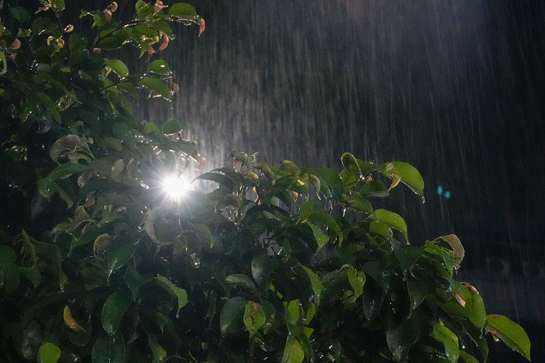 Raining_-(13)-1756397034.jpg