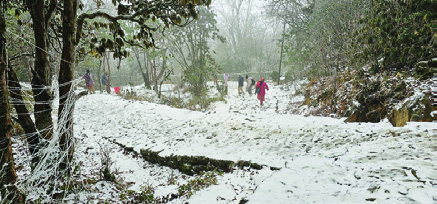 पाथीभरा क्षेत्रमा हिमपात