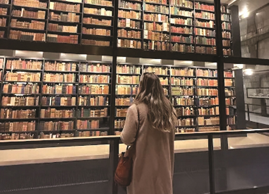 मुद्रा राक्षसको सुन्दरता