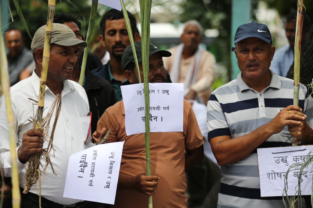 Ukhu-Kisan_NPL-(21)-1756019556.jpeg