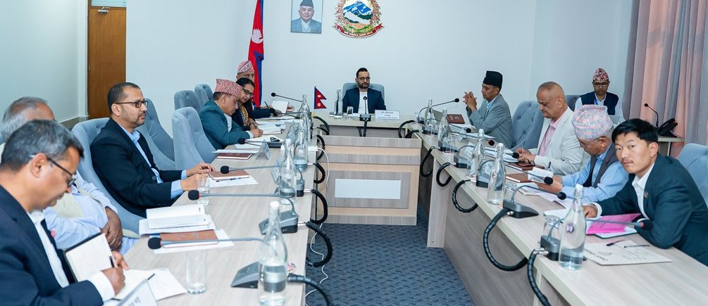 सुझाव प्रदेश सबलीकरणदेखि राजनीतिक नियुक्तिसम्म