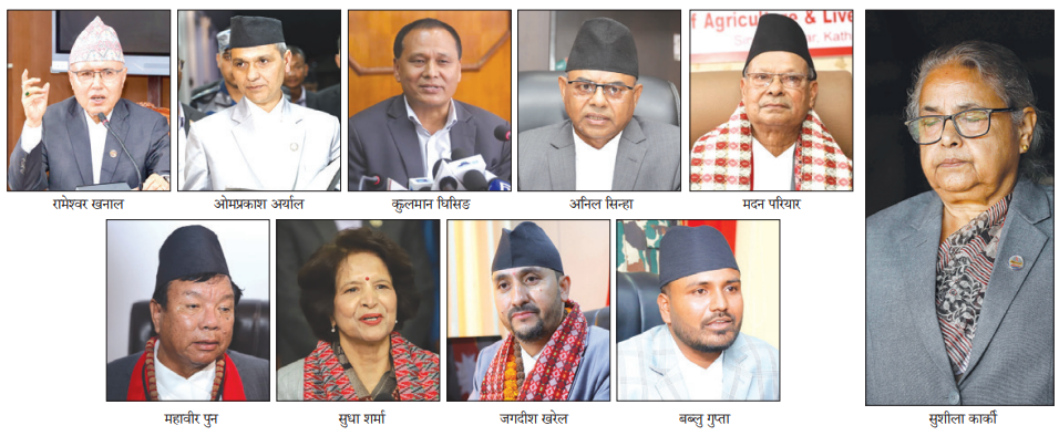 सम्पत्ति विवरण आयो, सर्वसाधारणका लागि भने गोप्य