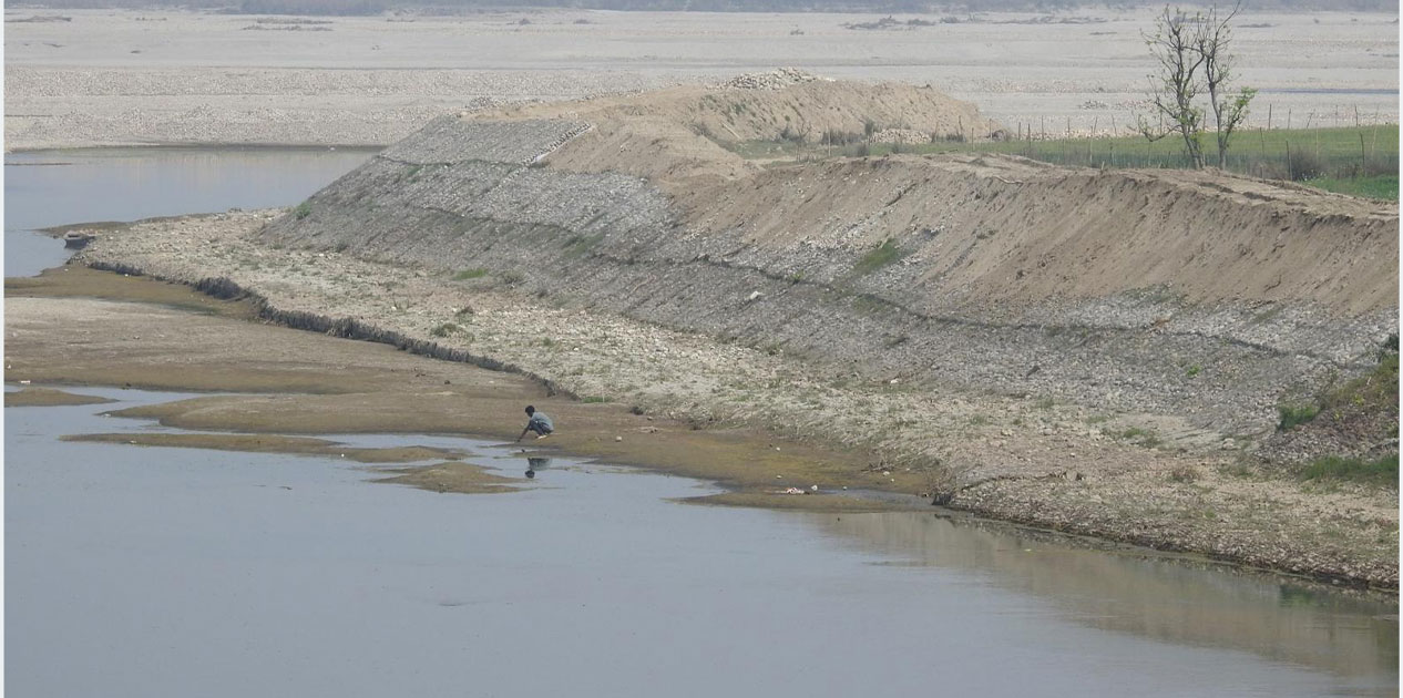 तटबन्ध निर्माणपछि सुरक्षित बन्यो कुतियाकवर