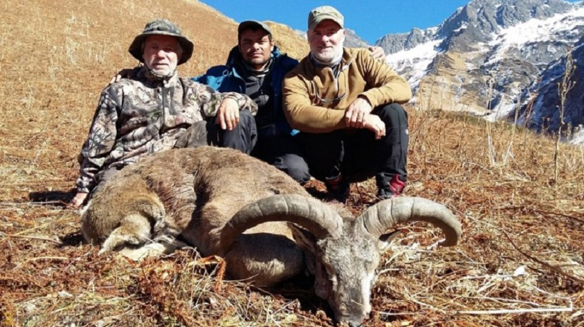 ढोरपाटनमा बनेल सिकार पनि खुला