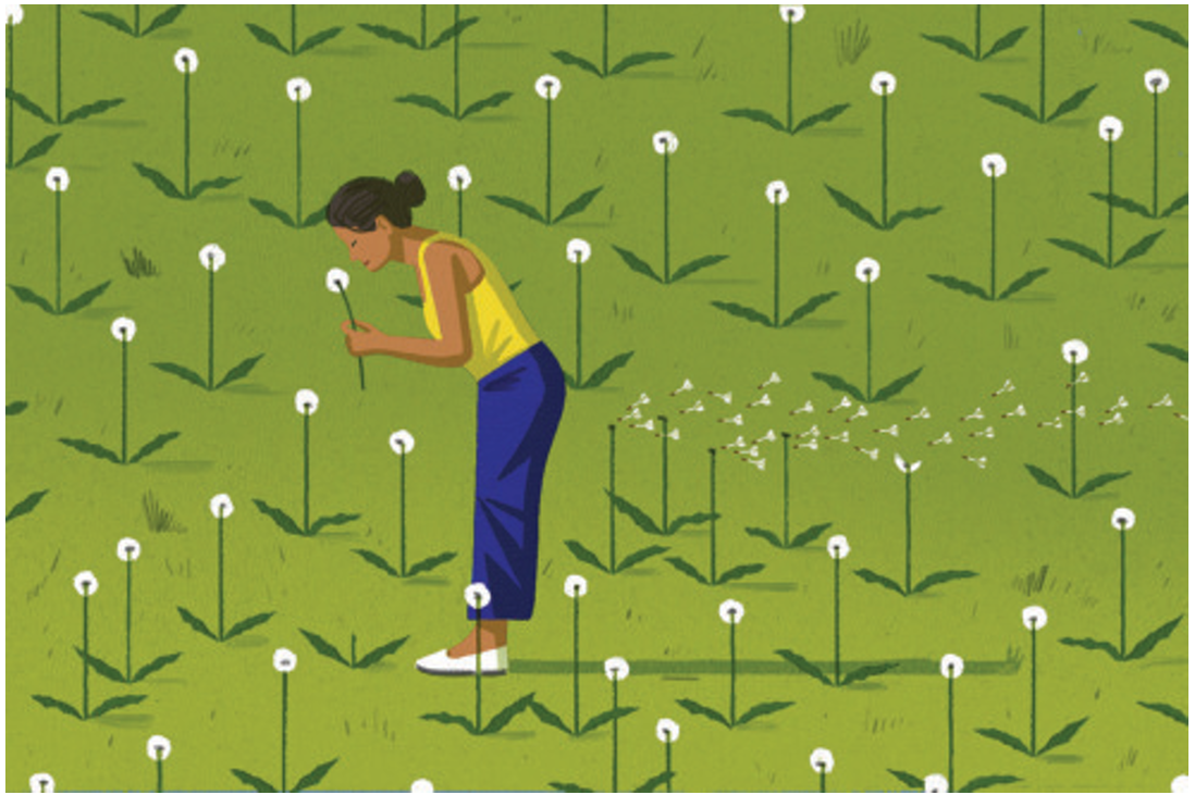 पालो ‘स्मार्ट अण्डरवेयर’को