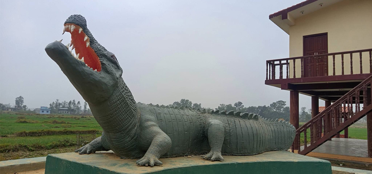 पर्यटक तान्दै गोहुवा