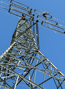 कोहलपुर–सुर्खेत प्रसारण लाइन सञ्चालनमा