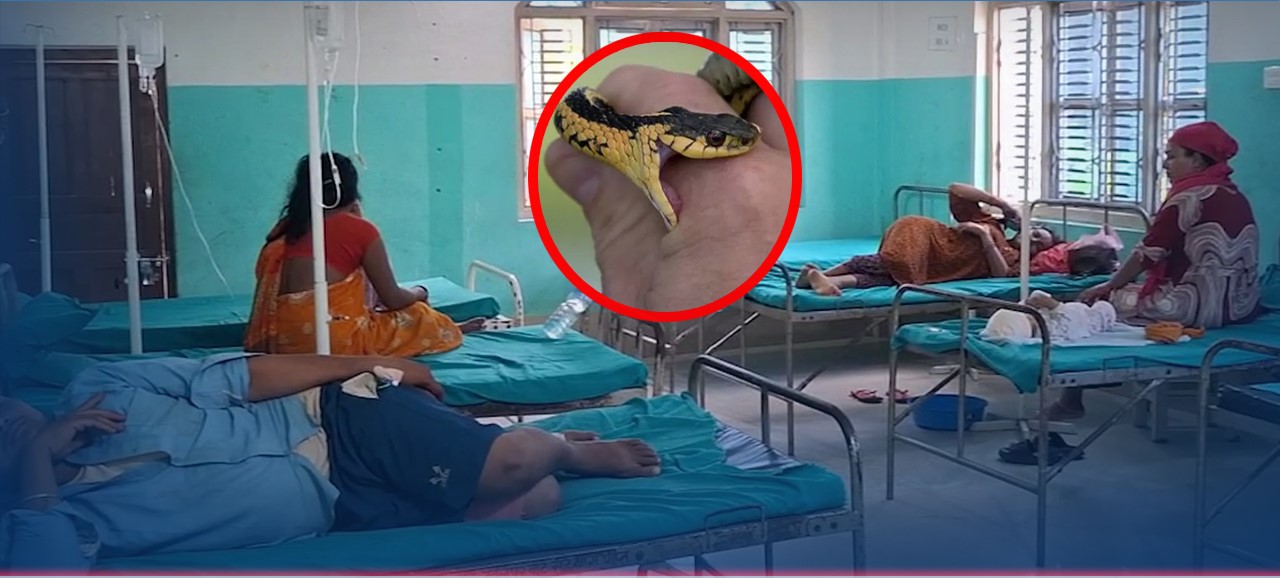 सर्पदंशका बिरामीको चाप, नवलपुर केन्द्रको आइसीयु र भेन्टिलेटर प्रयोगविहीन