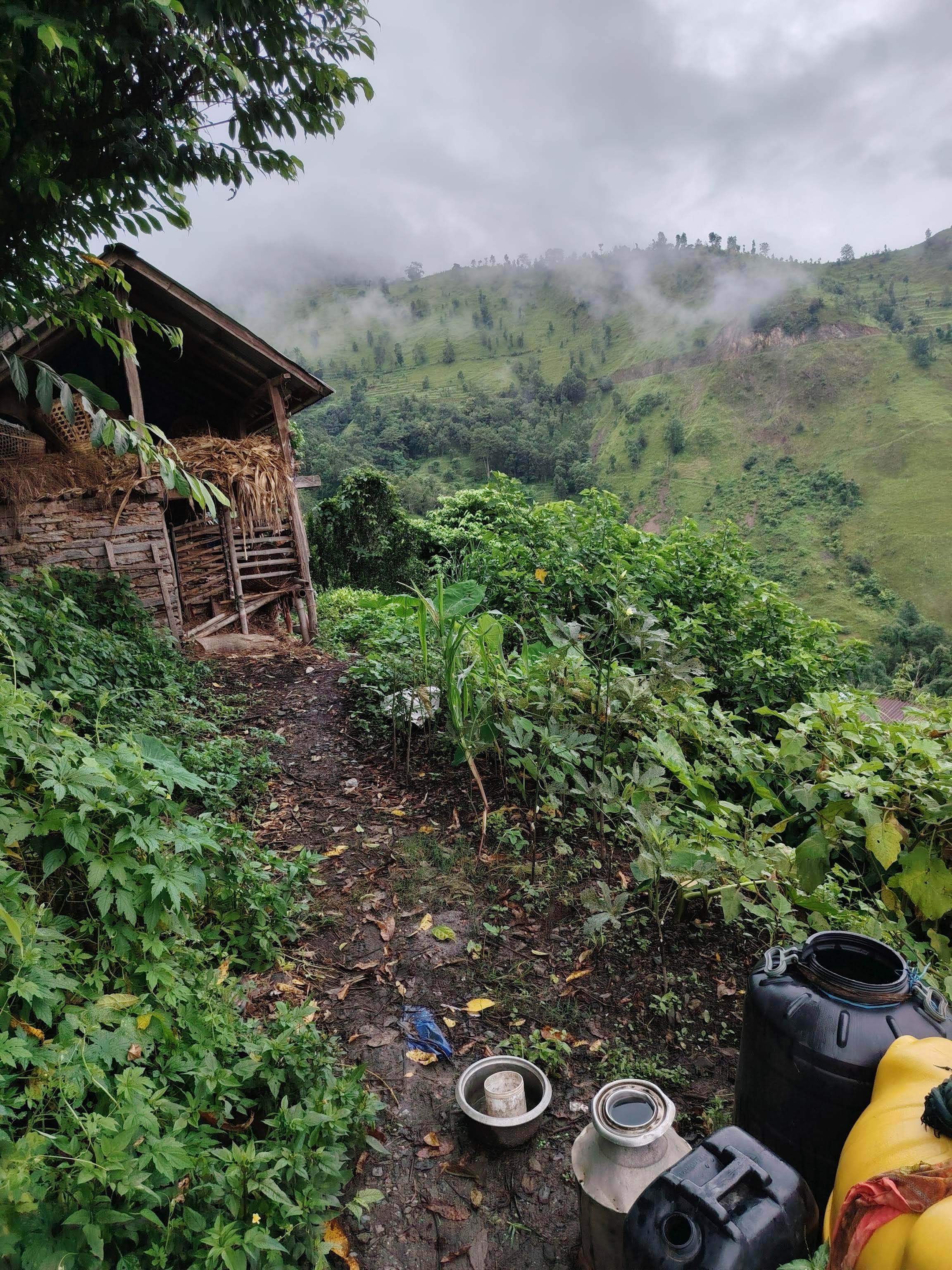 सुम्सागाउँका एक सय ३२ घरमा धारा छ, पानी आउँदैन